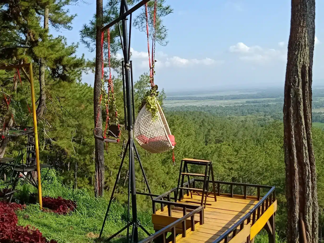 Morning Bliss at Kebun Karet: Explore Cilacap's Hidden Gem Without Waiting