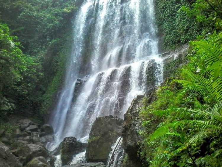 The Hidden Waterfall Secret of Cilacap: Solo Traveler's Untold Escape